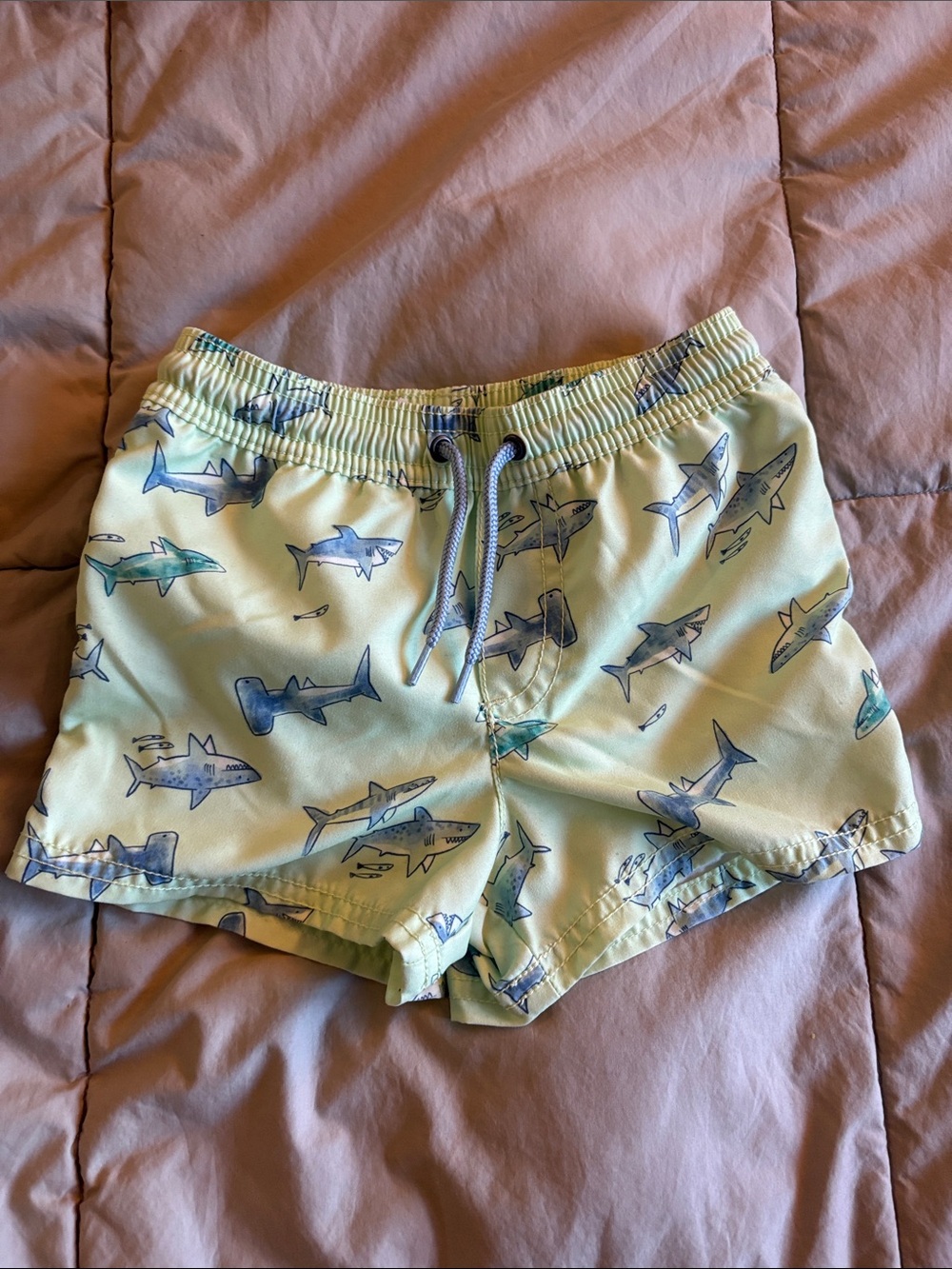4/$20 🌱 Carter’s Shark Print Swim Trunks 2T